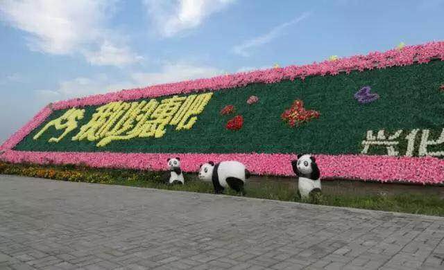 9月25日-10月15日萌宠来袭，大型熊猫展空降兴化千垛景区！